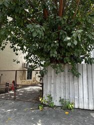 Sims Avenue (D14), Shop House #625261071